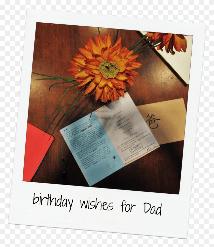 793x928 My Father Is Not An Easy Man To Understand Gerbera, Text, Paper HD PNG Download