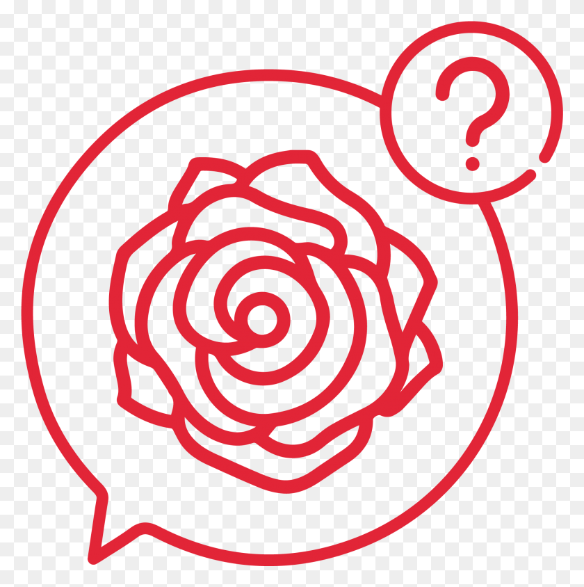 1929x1940 My First Time Here Rose Icon, Spiral, Coil HD PNG Download