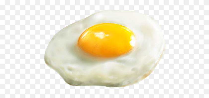 507x337 My Friend Asked Me To Draw A Fried Egg Fried Egg, Egg, Food HD PNG Download