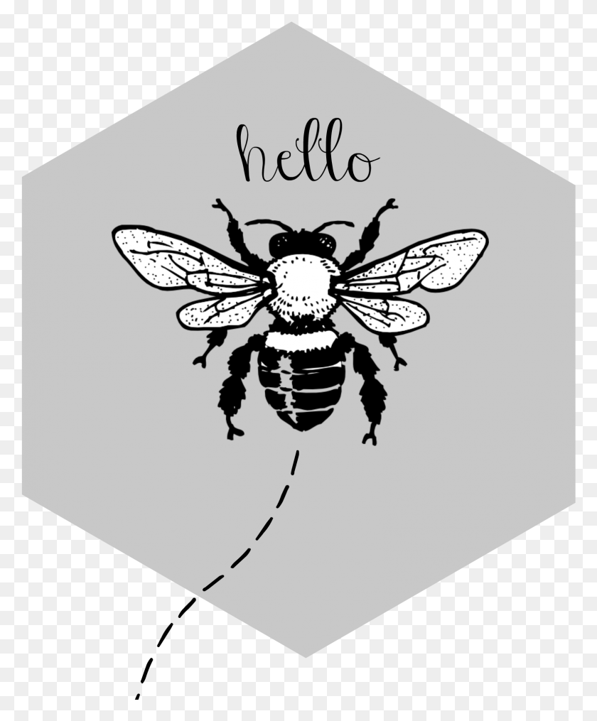 1578x1934 My Interest In Learning More About Something I Fear Honey Bee Black And White, Wasp, Bee, Insect HD PNG Download