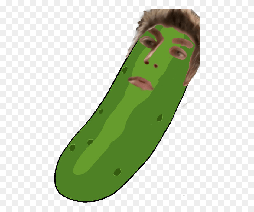 484x640 My Name Pickle Jeff Big Chungus Pickle Rick, Plant, Produce, Food HD PNG Download