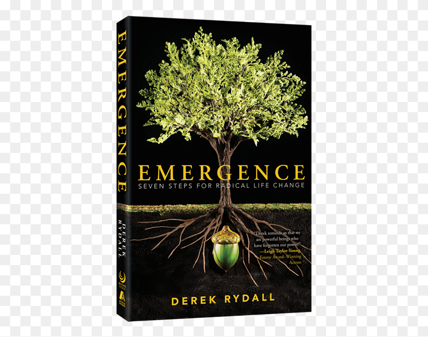 385x601 My New Book Comes Out On January 6th Emergence Seven Steps For Radical Life Change, Plant, Tree, Potted Plant HD PNG Download