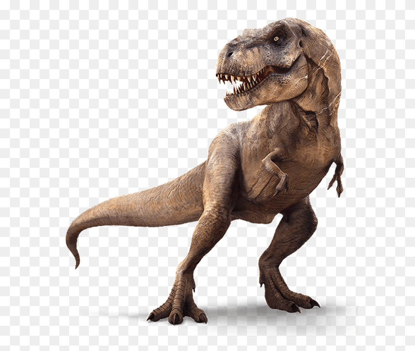 611x651 My New Channel Alpha And Omega Dino Digs T Rex, T-rex, Dinosaur, Reptile HD PNG Download
