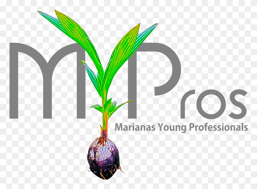 1002x717 Mypros 3 Year Anniversary Havana Nights October 20 Marianas Young Professionals, Plant, Vegetable, Food HD PNG Download