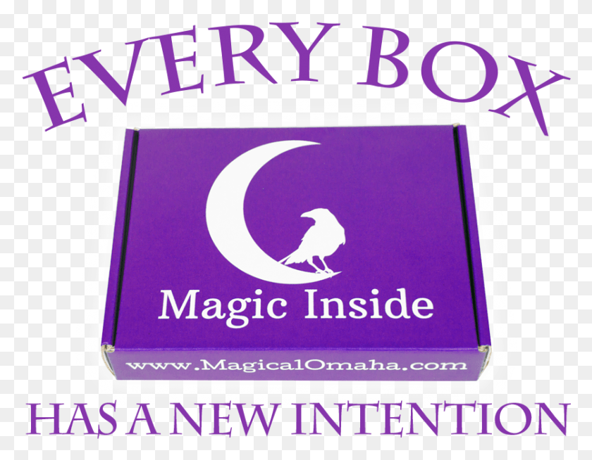 835x636 Mystical Mystery Box Monthly Subscription Graphic Design, Rubber Eraser, Bird, Animal HD PNG Download