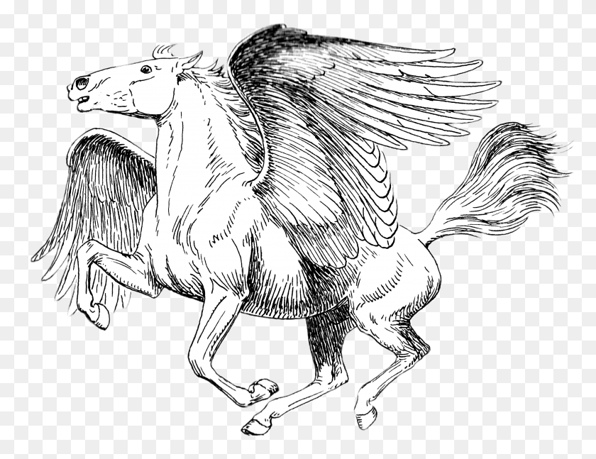 2852x2149 Мифология, Животное, Лошадь Hd Png Скачать