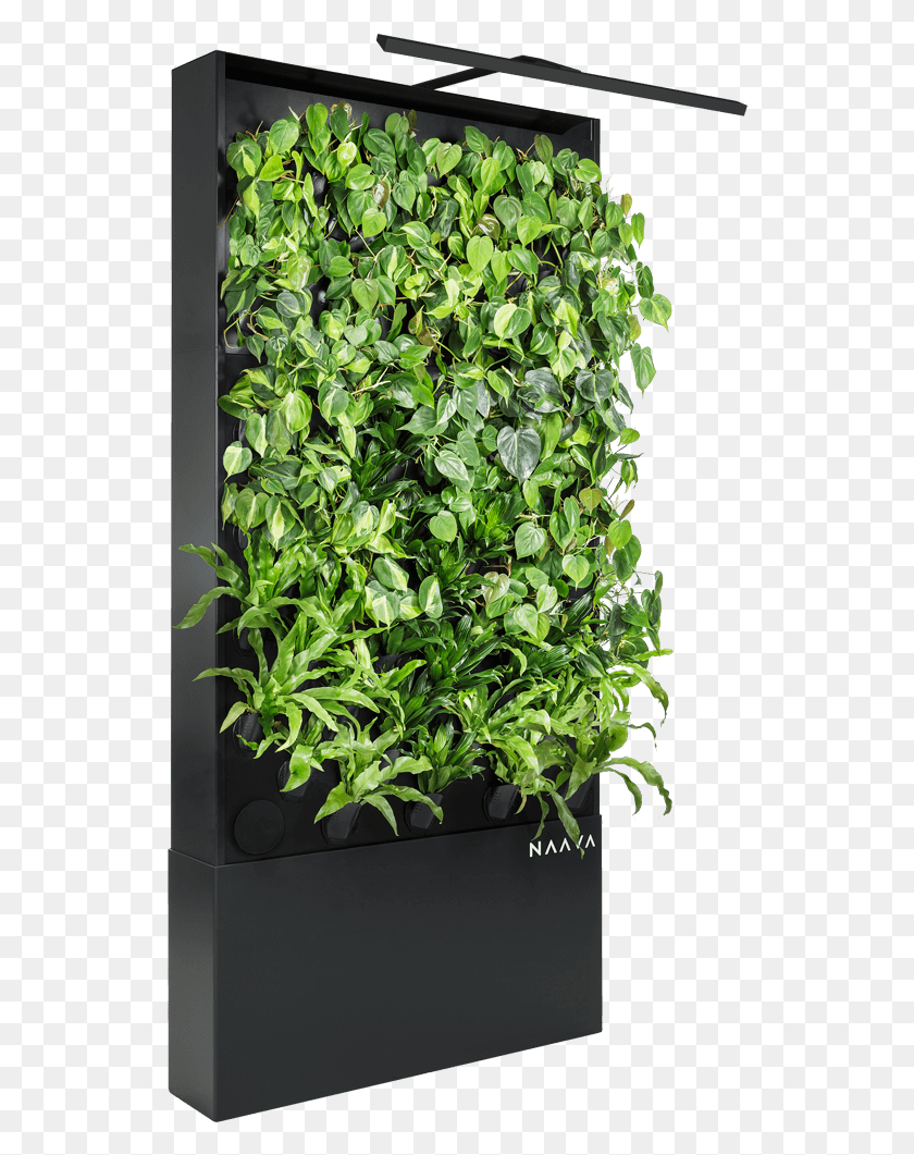 534x1001 Naava One Slim Graphite Black Oblique Vertical Garden Houseplant, Plant, Bush, Vegetation HD PNG Download