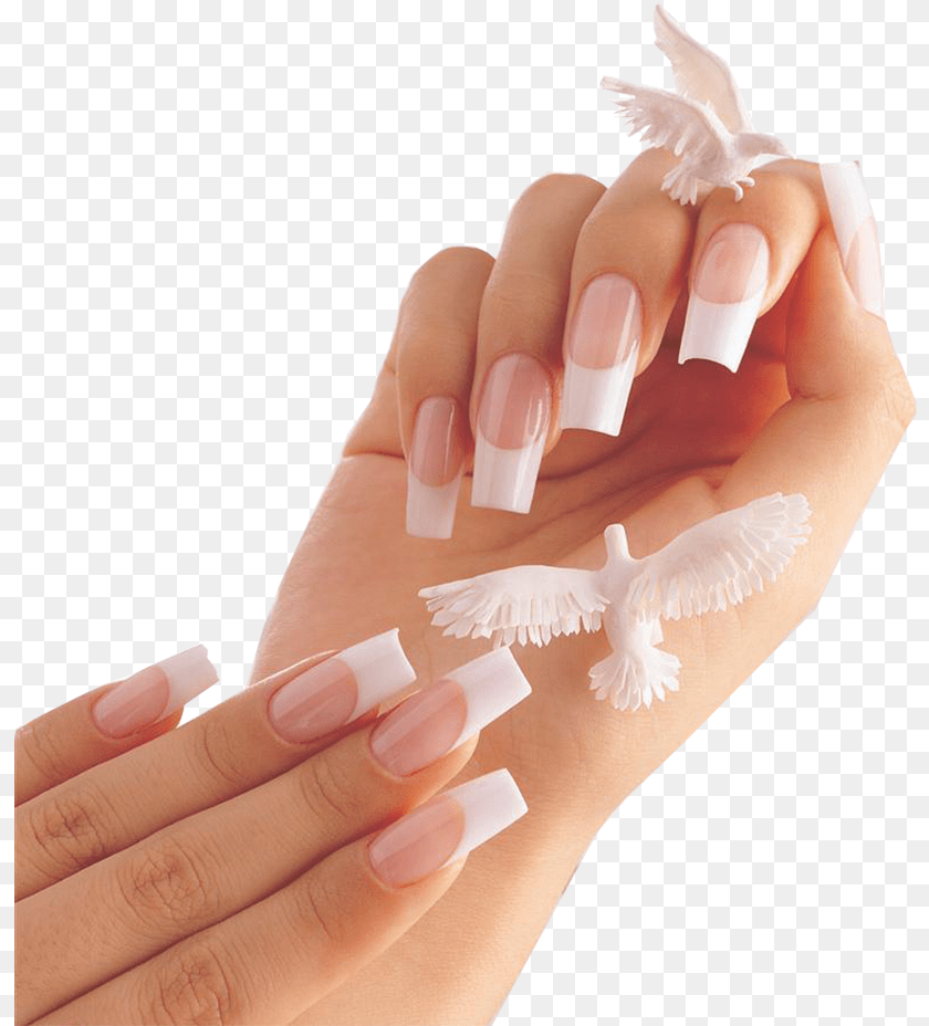 817x928 Nail Salon, Body Part, Hand, Manicure, Person Transparent PNG