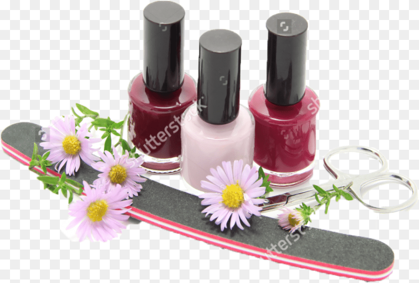 901x608 Nails, Cosmetics, Flower, Plant, Daisy Transparent PNG