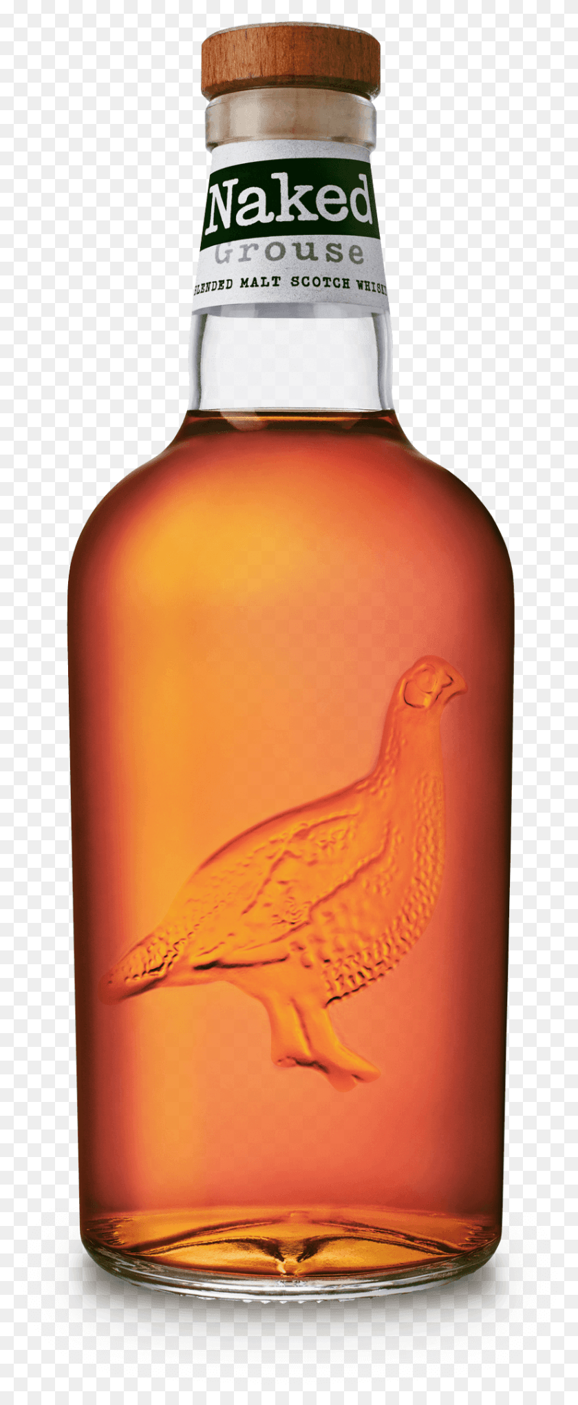 825x2095 Naked Grouse Blended Malt, Bird, Animal, Beverage Descargar Hd Png