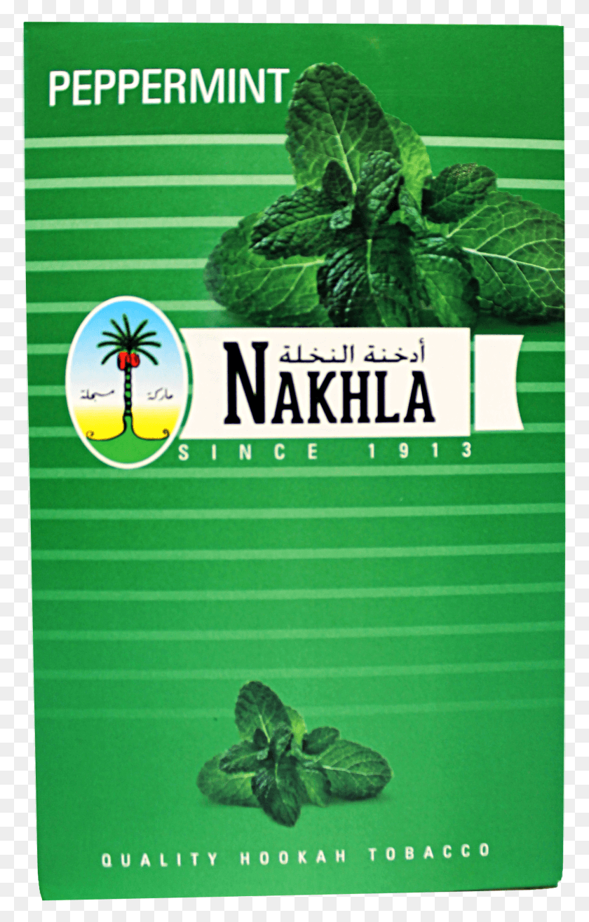 1890x3045 Nakhla Tobacco HD PNG Download