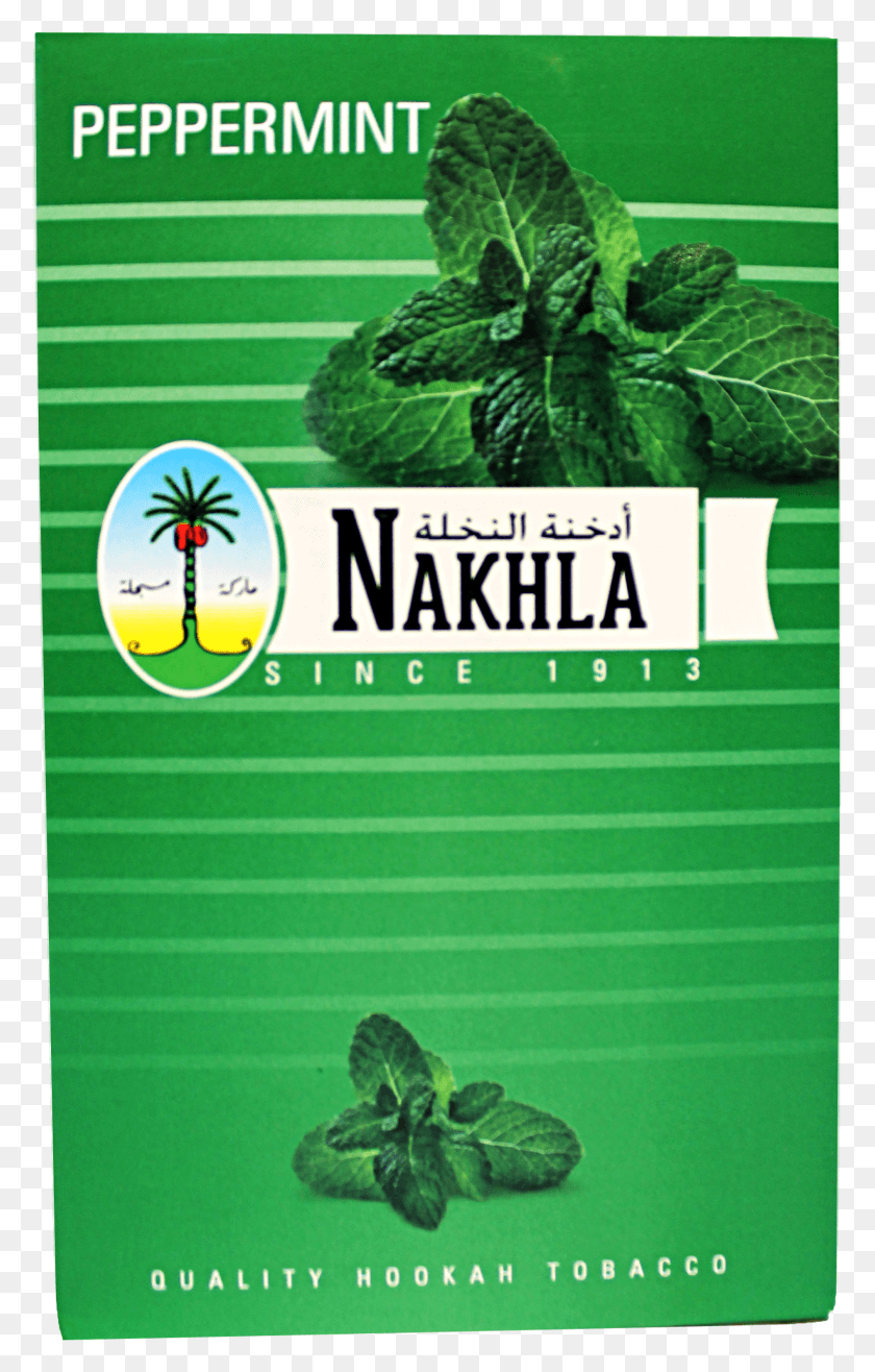 1890x3045 Descargar Png / Nakhla Tobacco Hd Png