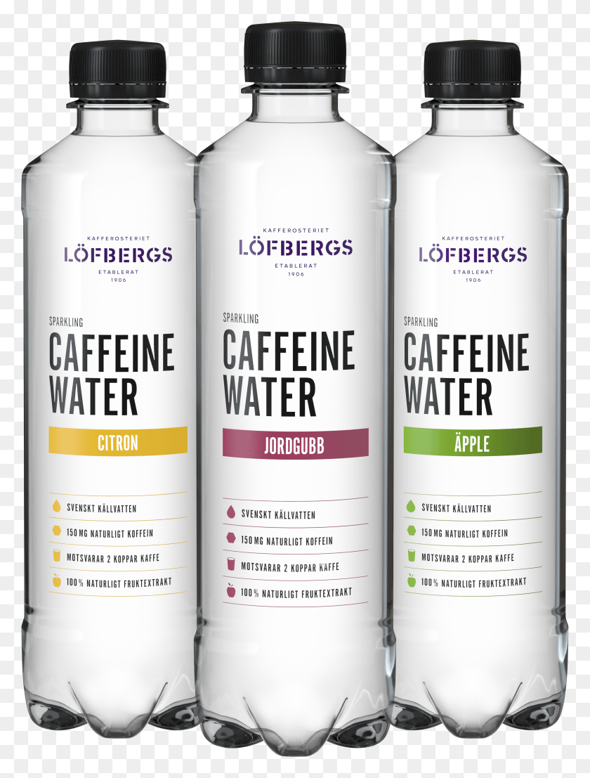 3130x4205 Nombre La Cafeína Agua Grupo Lfbergs Vatten Hd Png Descargar