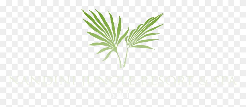 2654x1046 Логотип Nandini Jungle Resort And Spa, Горшечное Растение, Растение, Ваза Png Скачать