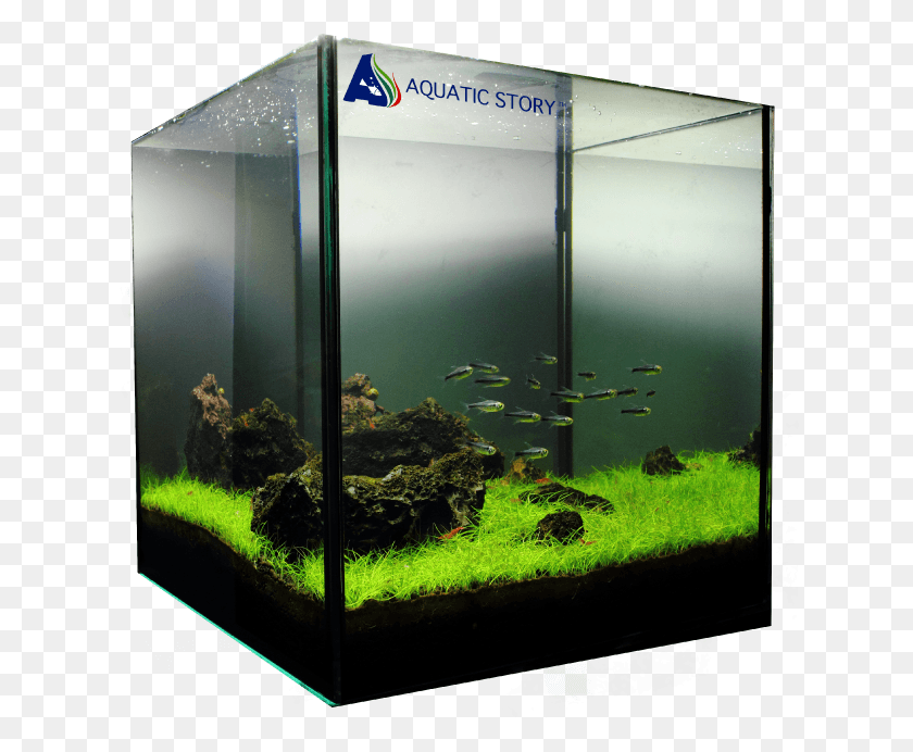 631x632 Nano Iwagumi Iwagumi 30cm Cube, Water, Aquarium, Sea Life HD PNG Download