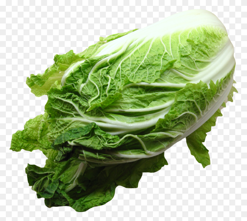 1187x1056 Napa Cabbage, Plant, Vegetable, Food HD PNG Download