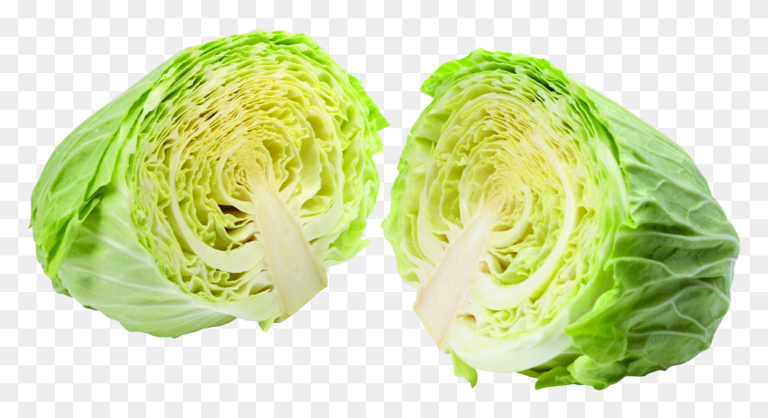 2093x1068 Napa Cabbage Nutrition Cabbage, Plant, Vegetable, Food HD PNG Download