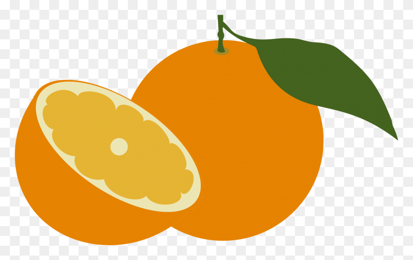 1600x964 Naranja Animada Dibujo De Una Naranja A Color, Plant, Citrus Fruit, Fruit Hd Png
