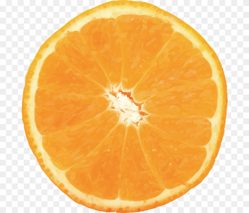 Naranja Vector Fruta Ctricos Fruto Alimentos Orange Half, Citrus Fruit, Food, Fruit, Grapefruit Clipart PNG