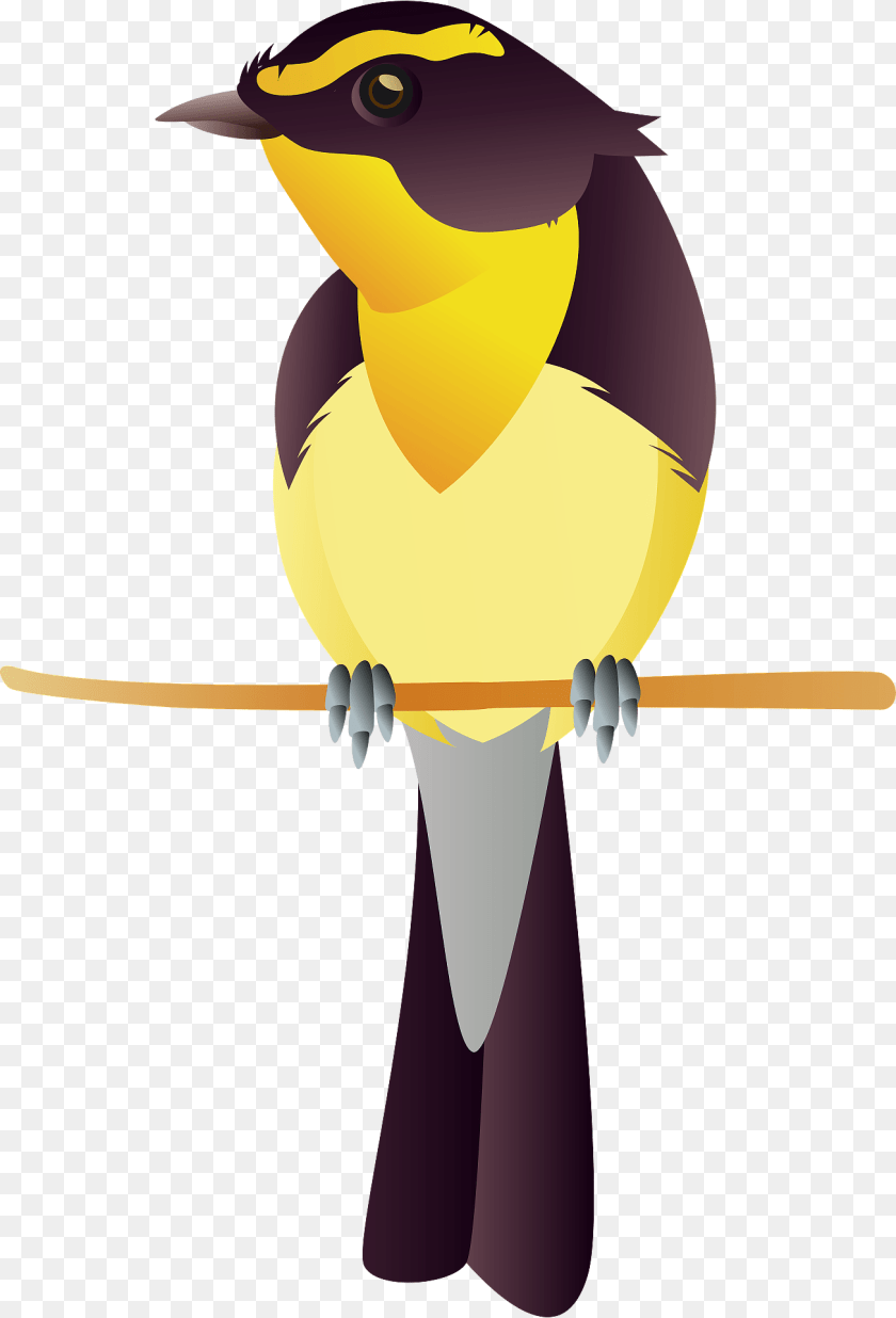 1305x1920 Narcissus Flycatcher Bird Animal, Finch, Nature, Outdoors Clipart PNG