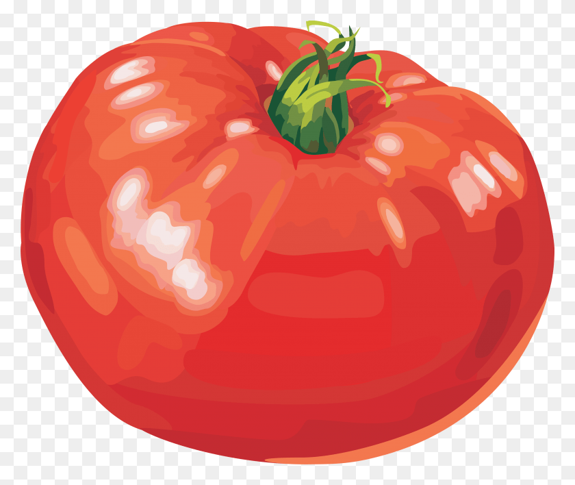 3523x2929 Narisovannie Kartinki Pomidor, Planta, Vegetal, Alimentos Hd Png