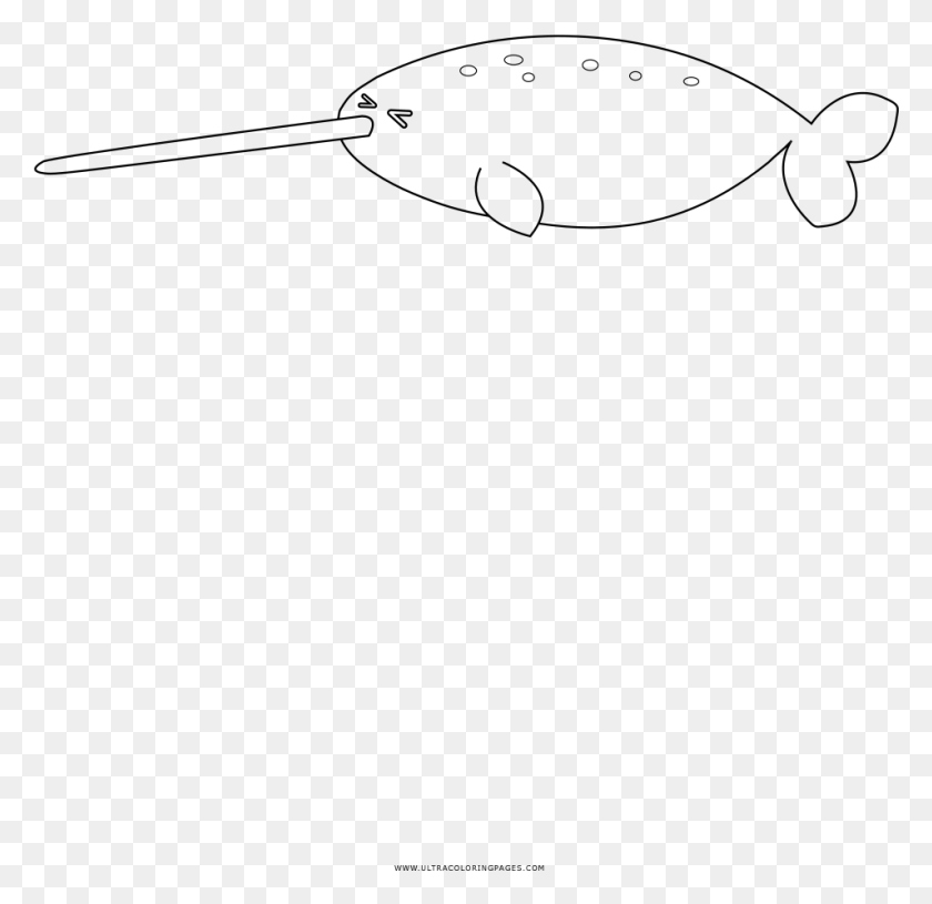 954x924 Narwhal Coloring Page, Gray, World Of Warcraft HD PNG Download