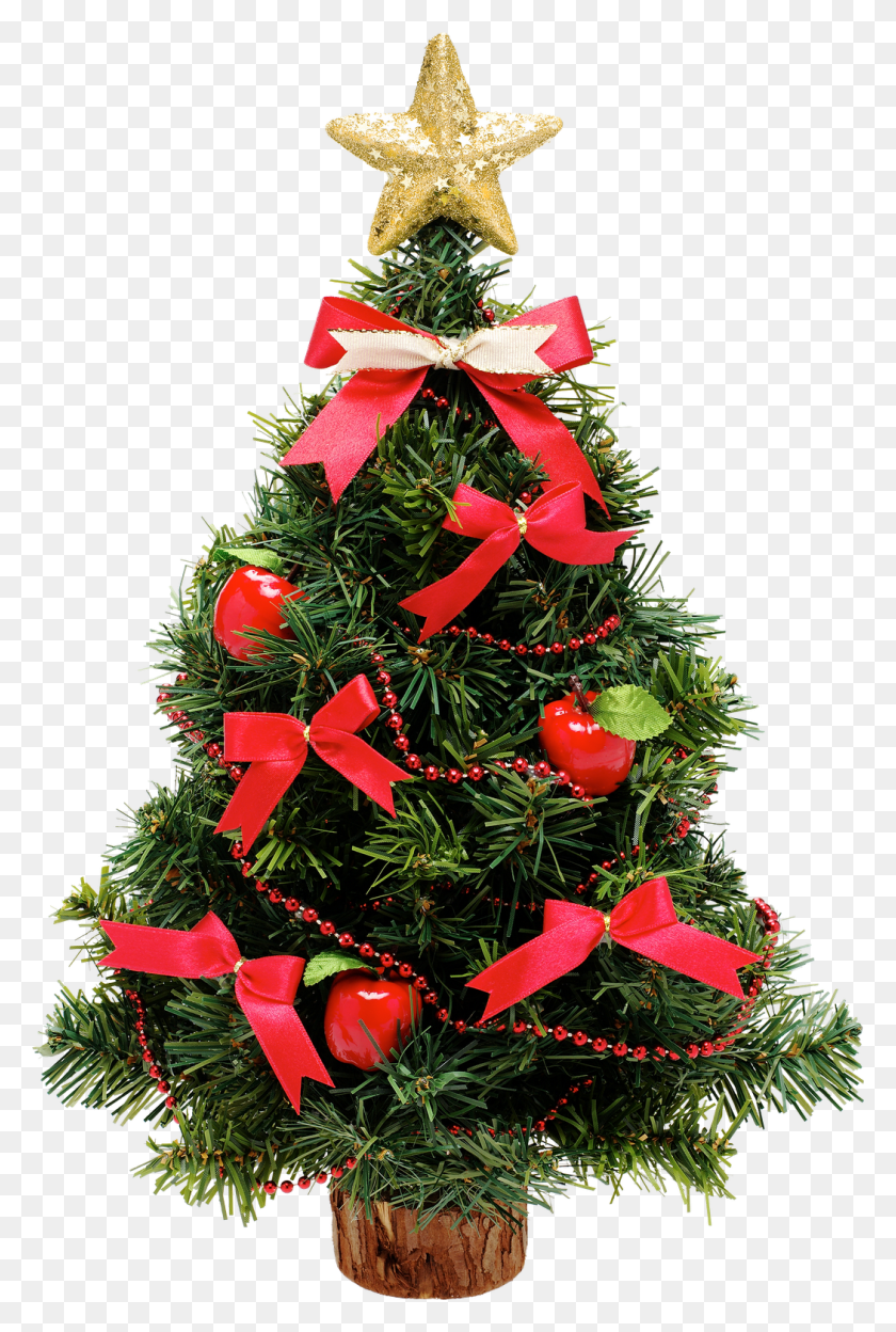 1050x1600 Natal Grtis Scrap, Christmas Tree, Tree, Ornament HD PNG Download