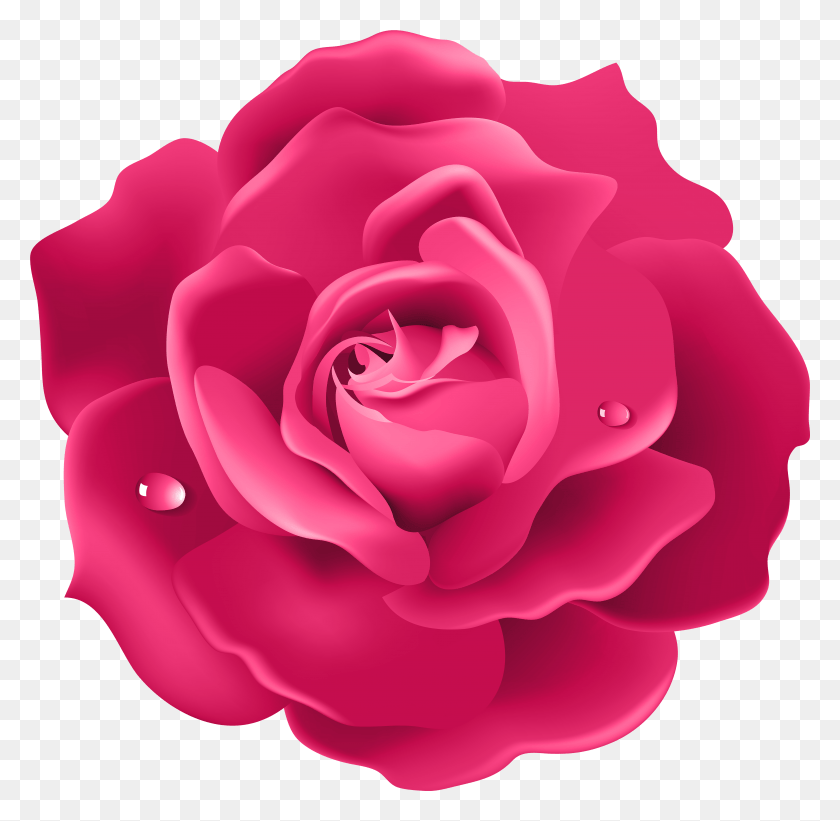 5935x5795 National Day Of Remembrance And Action On Violence, Rose, Flower, Plant HD PNG Download