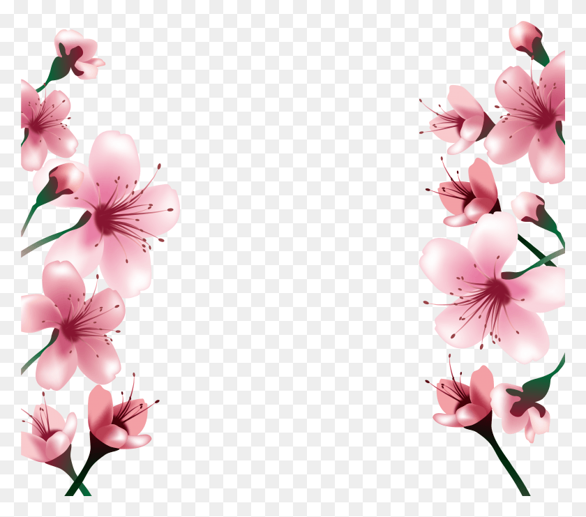 3334x2915 National Festival Blossoms Cherry Blossom, Plant, Flower, Blossom HD PNG Download