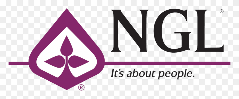 1000x372 National Guardian Life Insurance Logo Triangle, Text, Alphabet, Label HD PNG Download