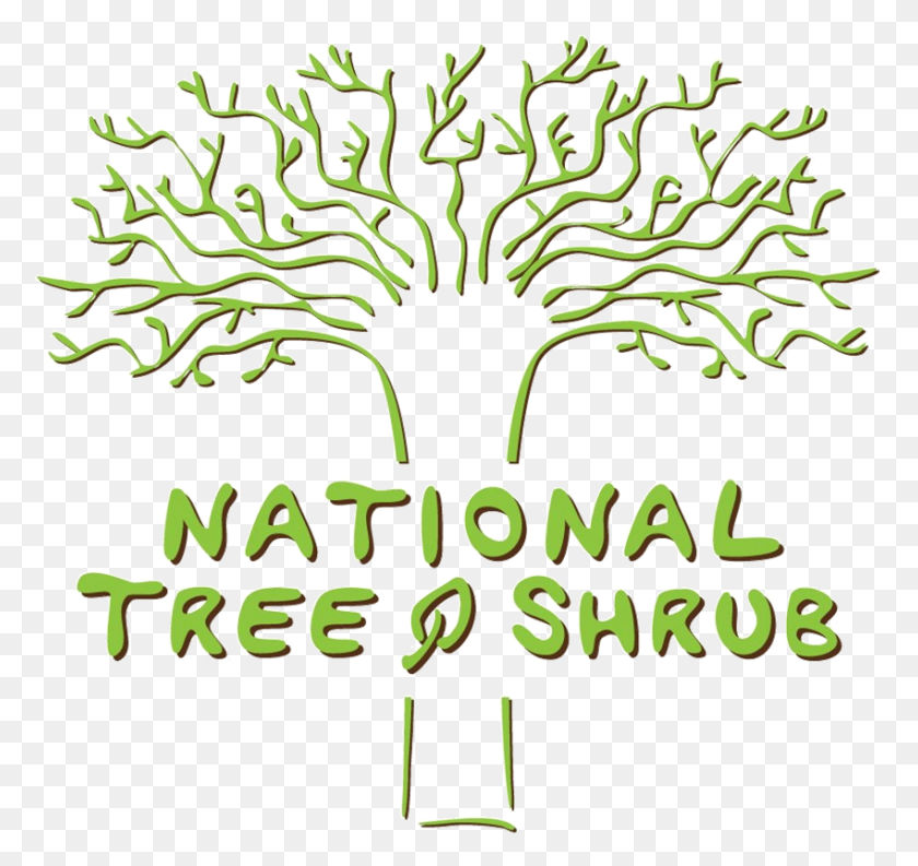 849x798 National Tree Amp Shrub, Plant, Vase, Jar HD PNG Download