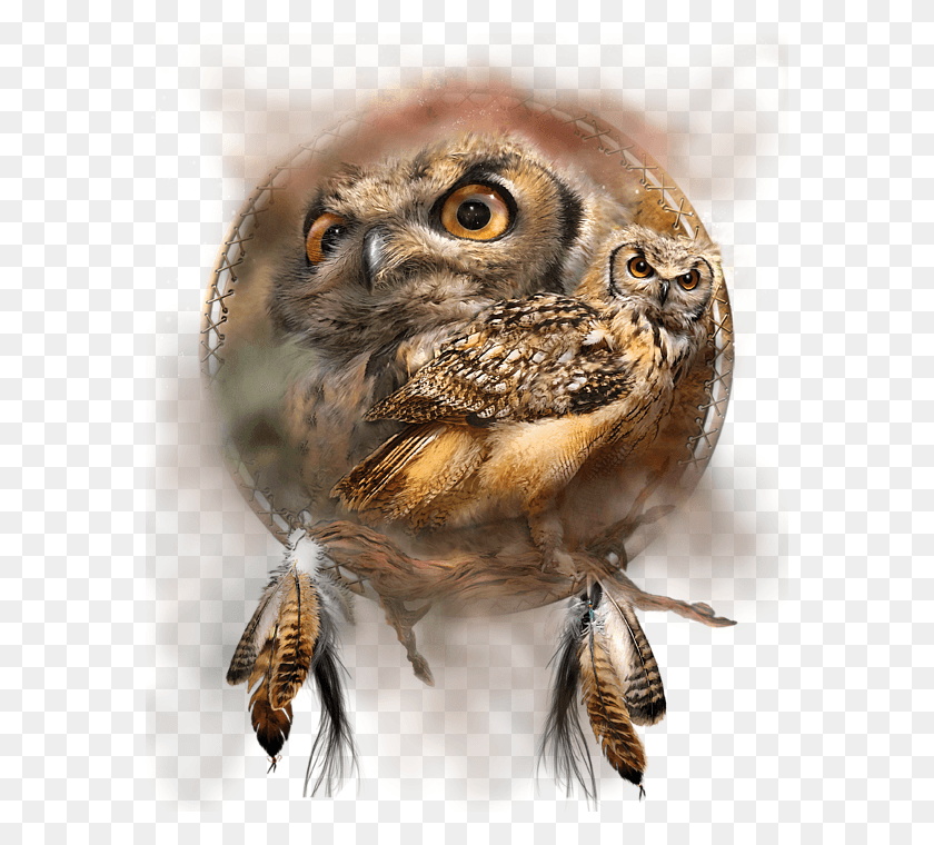 578x700 Native American Owl Free, Bird, Animal, Chicken HD PNG Download