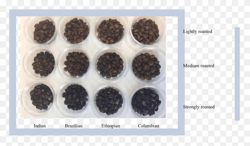 850x471 Natural Coffee Beans According To Place Of Origin And Healthcare Systems Integration, Plant, Vegetable, Food HD PNG Download