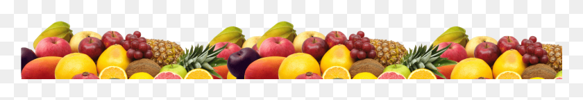 2049x221 Natural Foods, Citrus Fruit, Fruit, Plant HD PNG Download