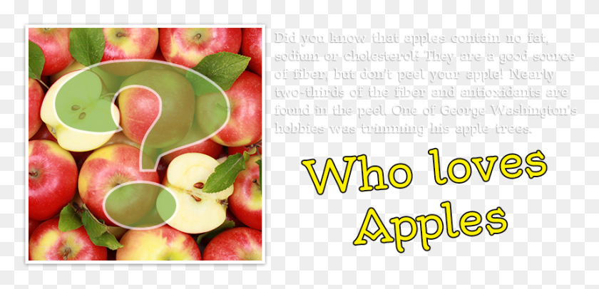 858x381 Natural Foods, Plant, Apple, Fruit HD PNG Download