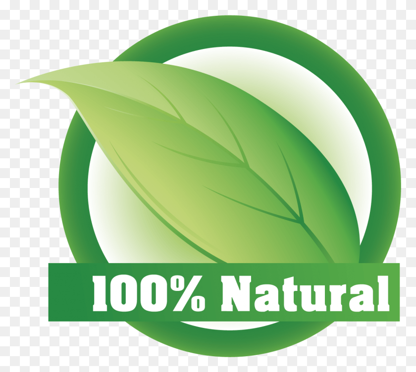1251x1111 Природный Графический Дизайн, Зеленый, Лист, Растение Hd Png Скачать
