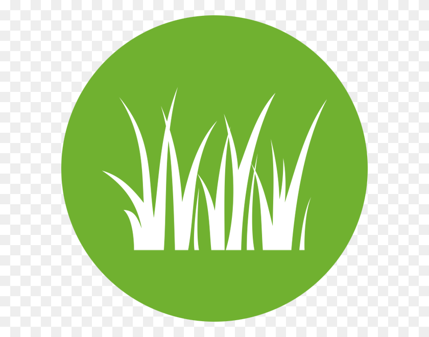 600x600 Natural Grass Look Frigopol, Logo, Symbol, Trademark HD PNG Download