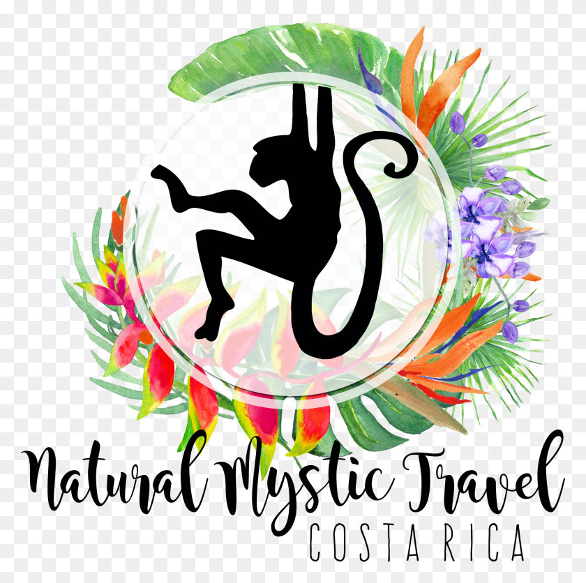 1940x1931 Natural Mystic Travel Monkey Silhouette, Graphics, Symbol HD PNG Download