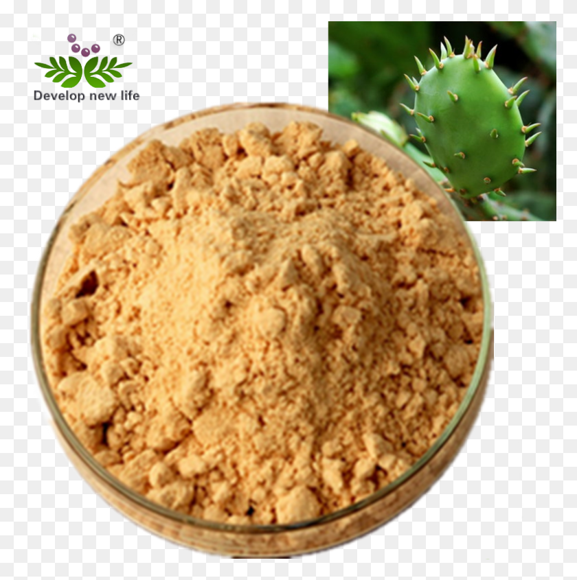 789x795 Natural Nopal Cactus Juice Powder Prickly Pears Extract Graham Cracker Crust, Plant, Bread, Food HD PNG Download