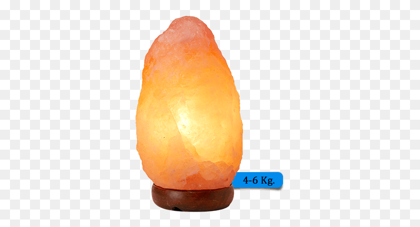 300x395 Natural Shape Crystal, Plant, Lamp, Mineral HD PNG Download