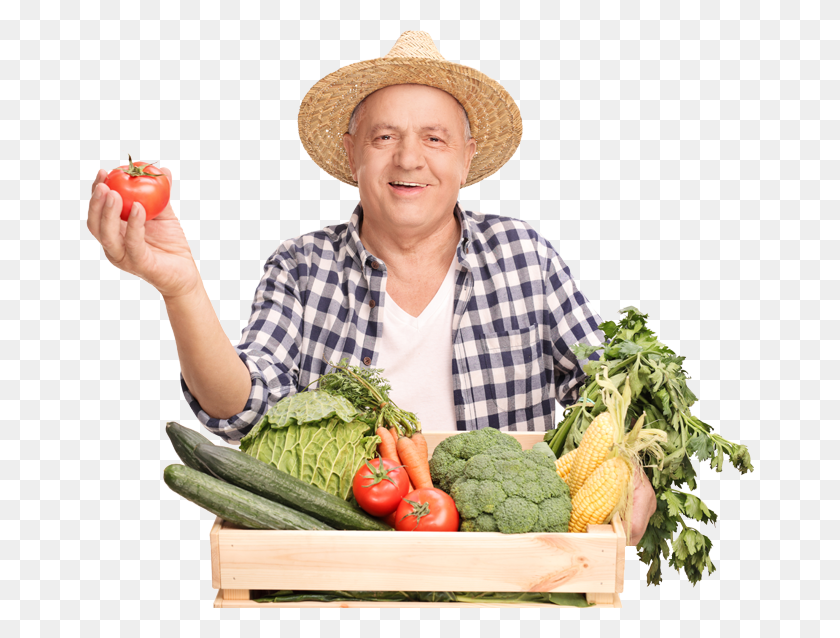 668x578 Натуральные Овощи Крестоцветные Овощи, Шляпа, Одежда, Одежда Hd Png Скачать