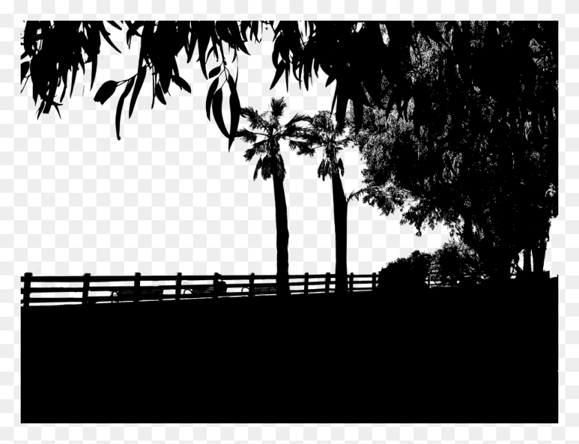 960x720 Nature Beach Wharf Promenade Silhouette Holiday Silhouette, Gray, World Of Warcraft, Outdoors HD PNG Download