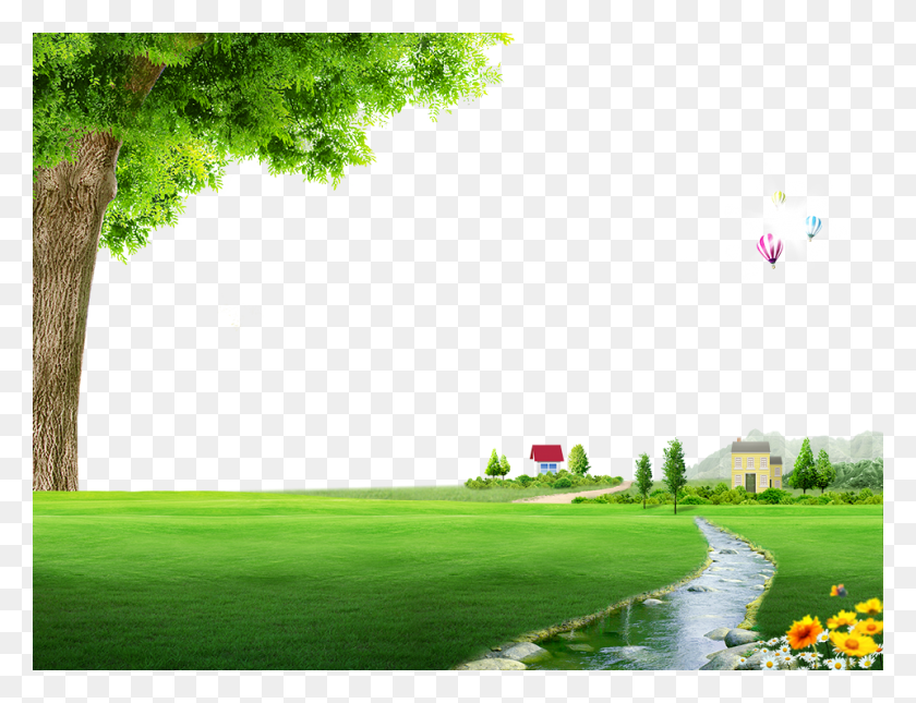 960x720 Nature Spring Photography Floor Field Landscape Clipart Cartoon Outdoor Background, Grass, Plant, Outdoors HD PNG Download