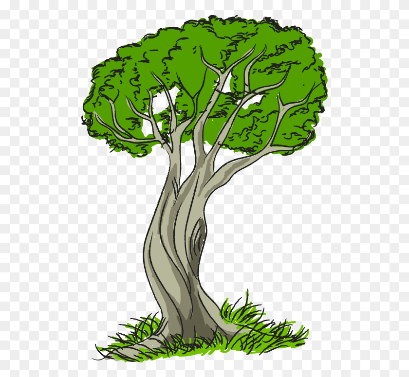 508x715 Nature Trees Tree With Grass Nature Clip Art, Plant, Vegetable, Food HD PNG Download