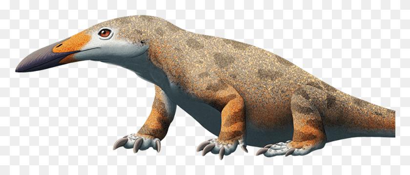 980x378 Динозавр, Рептилия, Животное Png Скачать