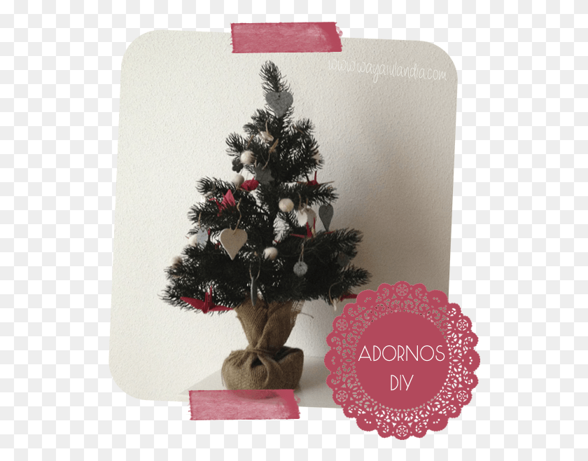 532x598 Navidad En Wayaiulandia Cocoa, Tree, Plant, Ornament HD PNG Download