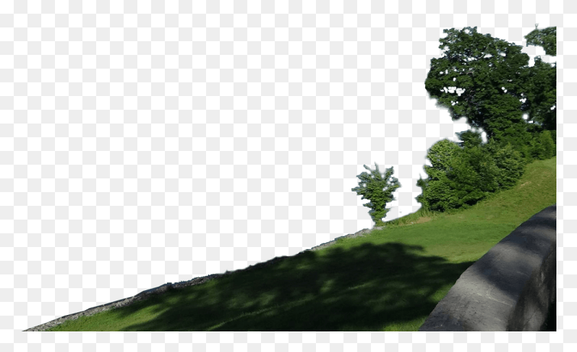 1234x717 Navigating A Responsible Course River, Grass, Plant, Tree HD PNG Download