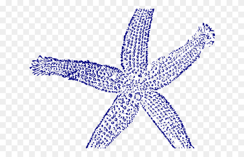 640x480 Navy Clipart Starfish Blue Sea Shell Clip Art, Animal, Sea Life, Cross HD PNG Download