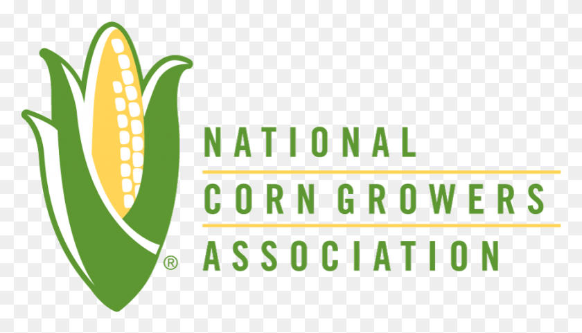 879x475 Ncga Logo V2 National Corn Growers Association, Plant, Vegetation, Food HD PNG Download