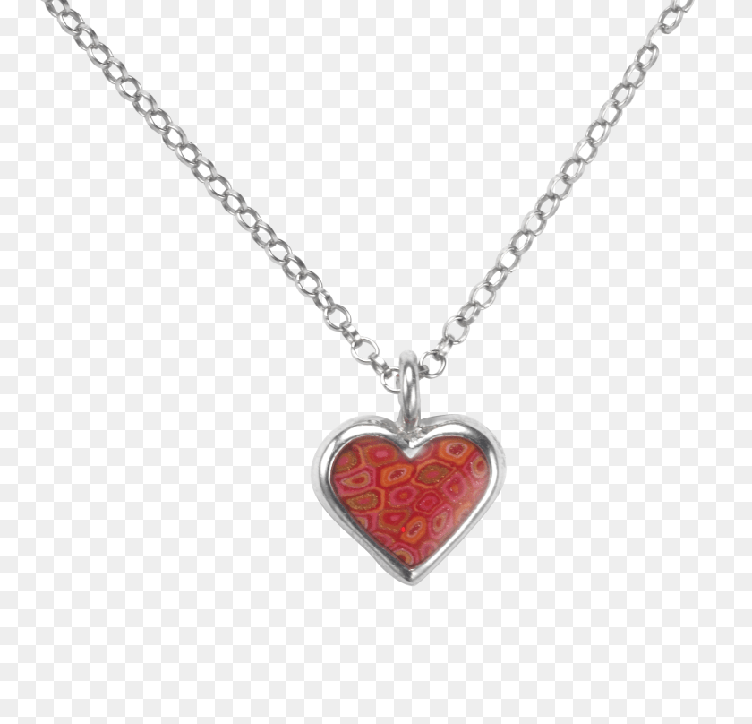 Neck Chain Transparent Necklace Chain, Accessories, Jewelry, Pendant, Locket Sticker PNG